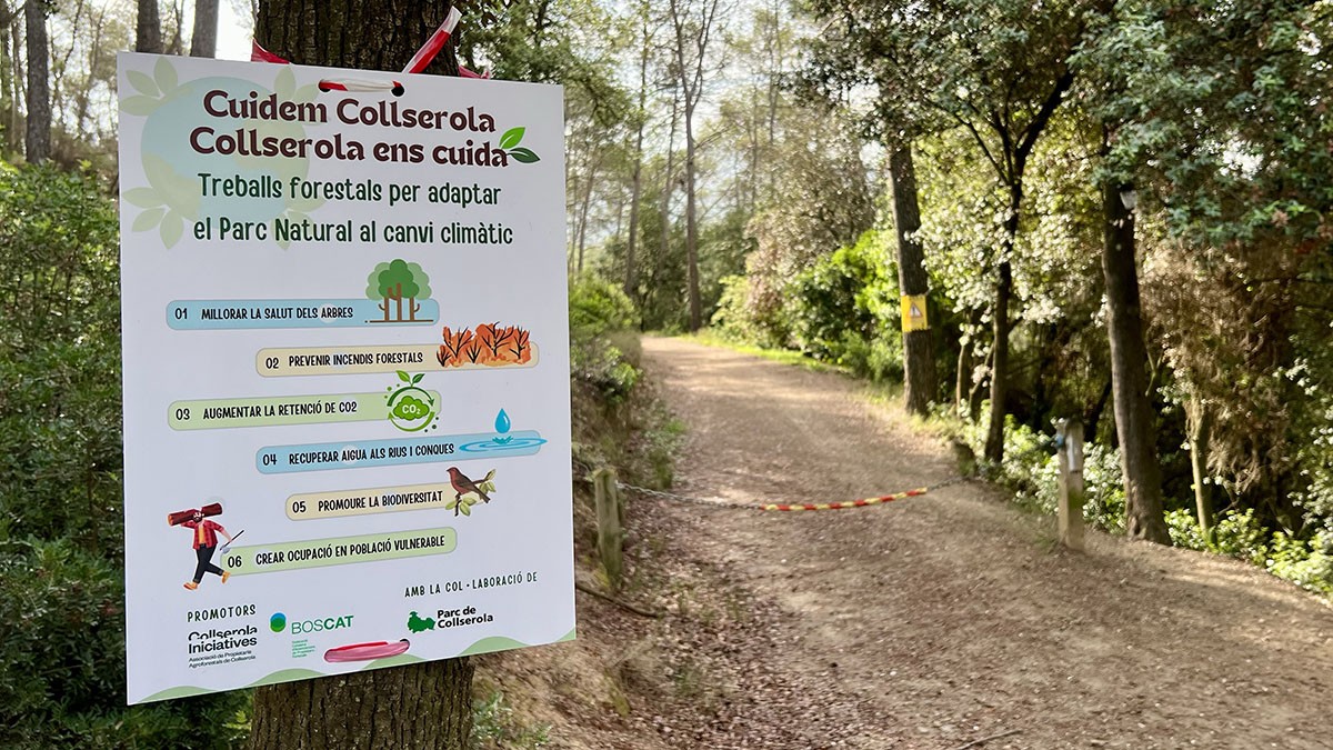 Treballs de gestió forestal a Collserola - Jordi Pujolar / ACN Treballs de gestió forestal a Collserola - Jordi Pujolar / ACN