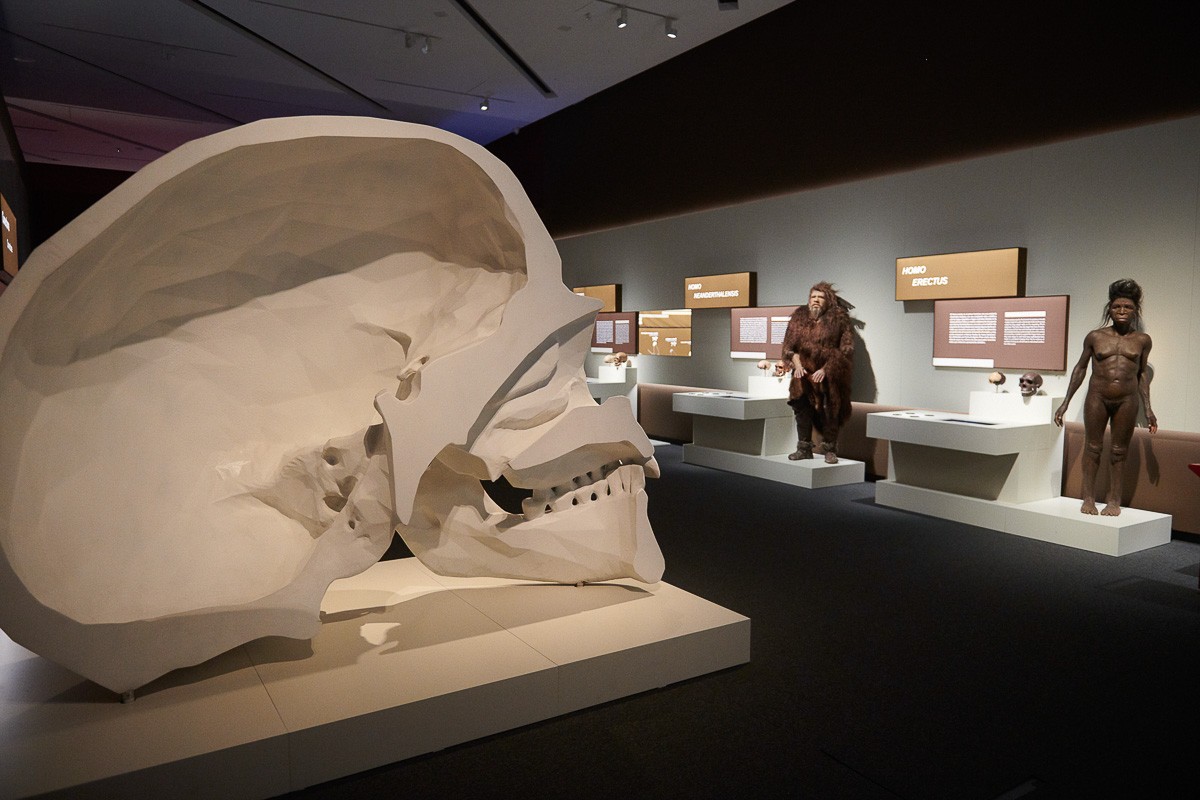 - CaixaForum  - CaixaForum