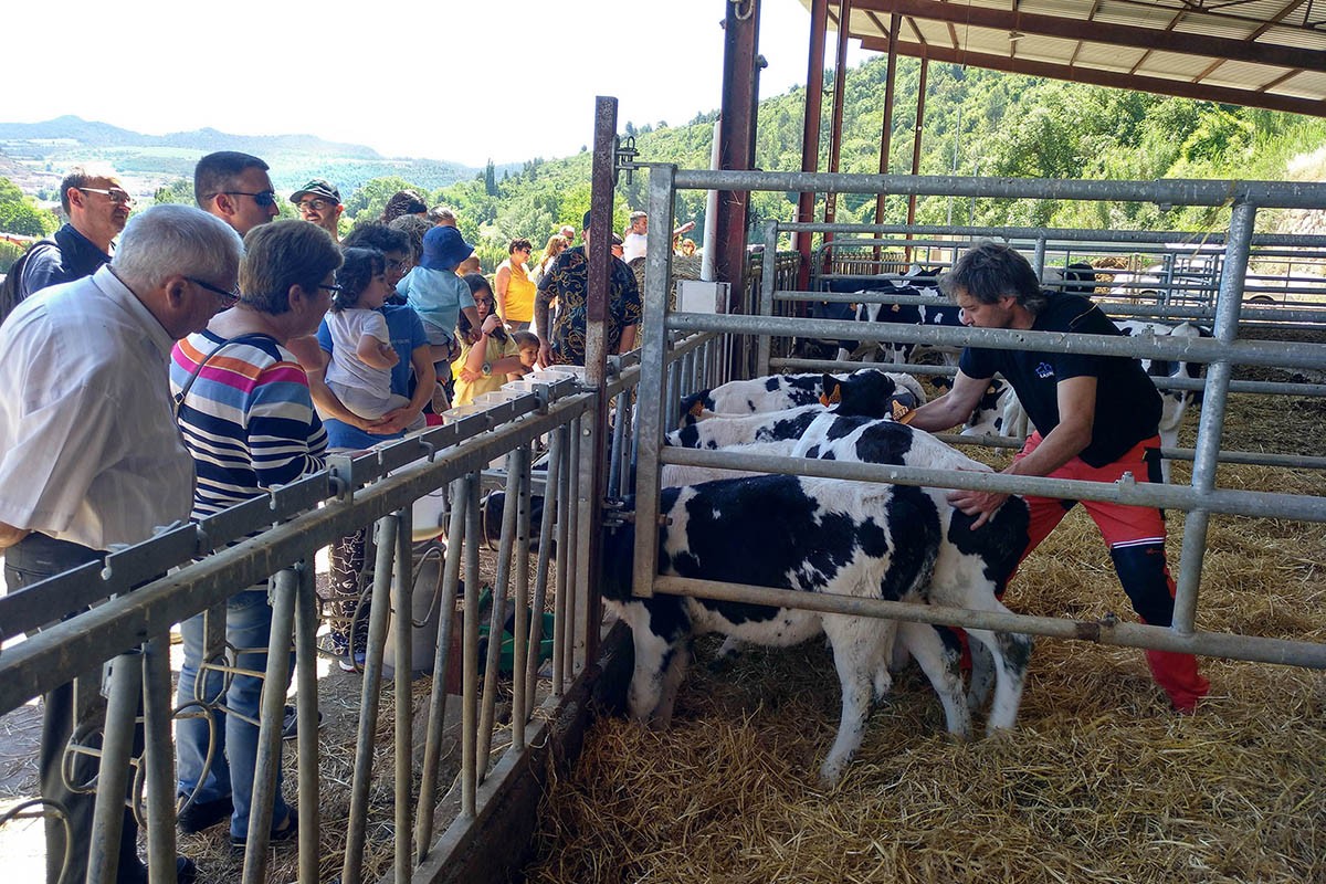 Benvinguts a Pagès proposa un centenar d'activitats aquest estiu - Benvinguts a Pagès Benvinguts a Pagès proposa un centenar d'activitats aquest estiu - Benvinguts a Pagès