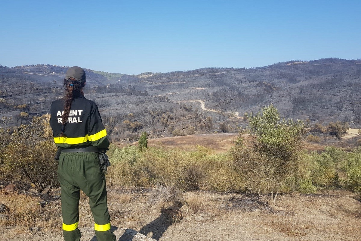 Una agent rural observa una zona calcinada per l'incendi al Pont de Vilomara - Pere Fontanals Una agent rural observa una zona calcinada per l'incendi al Pont de Vilomara - Pere Fontanals
