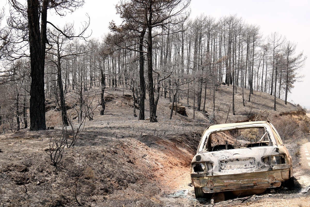 El foc ha arrasat el bosc i algun cotxe a Castellar de la Ribera - ACN / Nia Escolà El foc ha arrasat el bosc i algun cotxe a Castellar de la Ribera - ACN / Nia Escolà