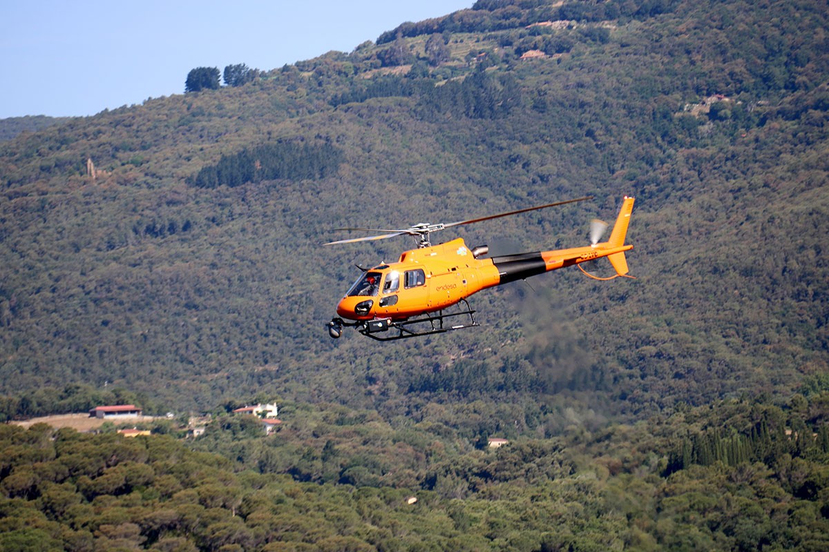 Treballs de prevenció d'incendis d'Endesa - ACN Treballs de prevenció d'incendis d'Endesa - ACN