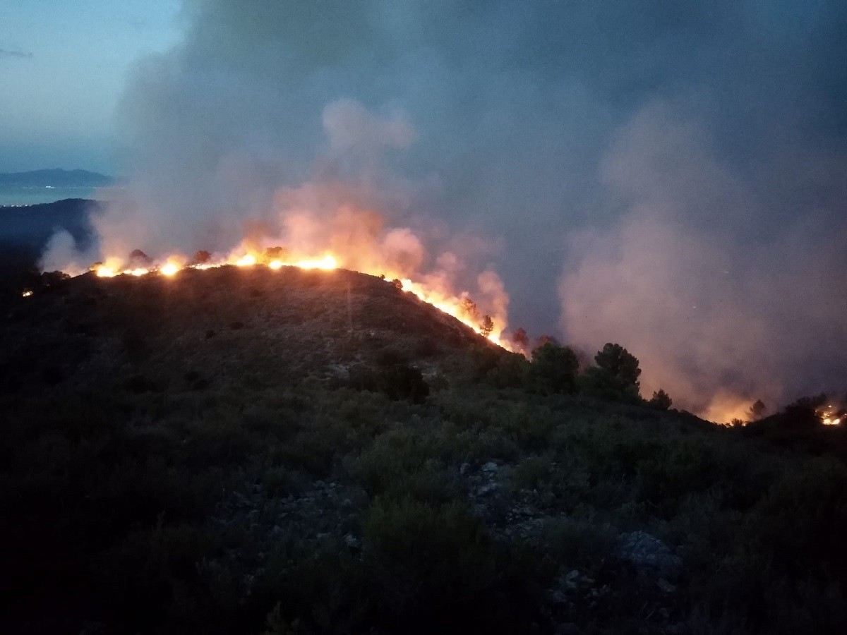 Incendi al Massís del Montgrí. - ACN Incendi al Massís del Montgrí. - ACN
