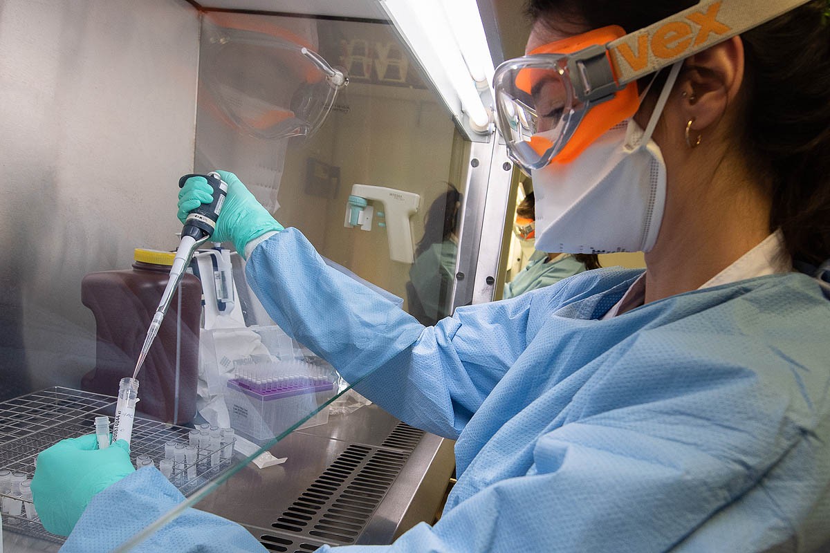 Una treballadora del laboratori de l'Hospital Clínic fent proves de coronavirus. - Hospital Clínic/ACN Una treballadora del laboratori de l'Hospital Clínic fent proves de coronavirus. - Hospital Clínic/ACN