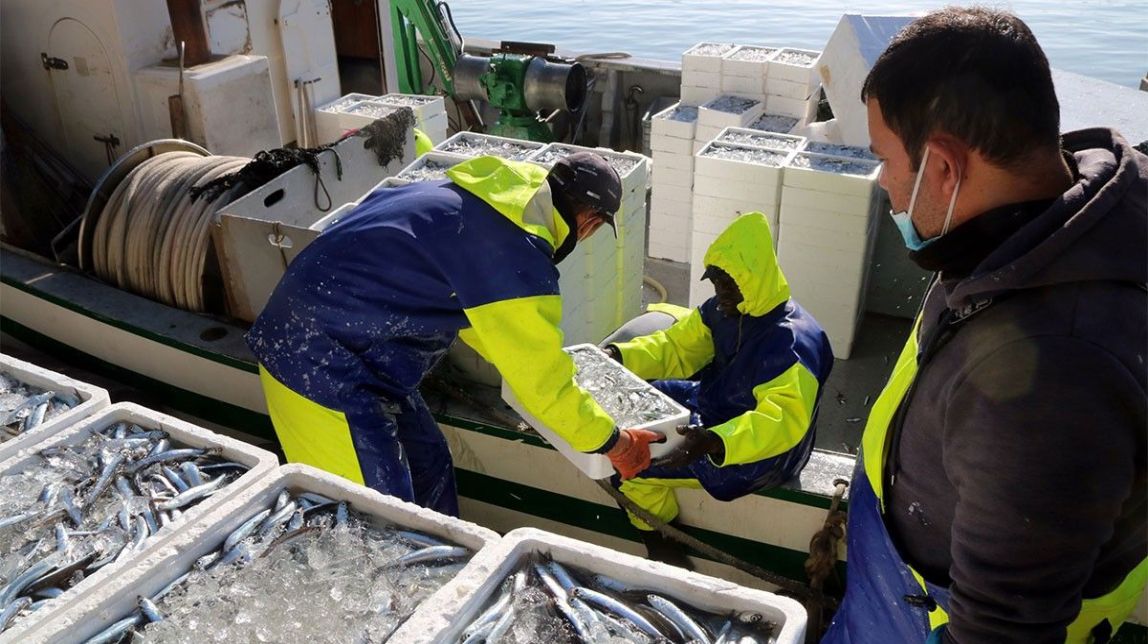 Diversos mariners descarregant al moll diverses caixes de seitó, al barri del Serrallo de Tarragona. - ACN Diversos mariners descarregant al moll diverses caixes de seitó, al barri del Serrallo de Tarragona. - ACN