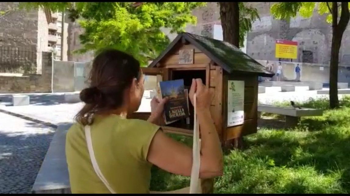 VÍDEO Susanna Ayala ficant els llibres al Biblioniu - Pere Fontanals VÍDEO Susanna Ayala ficant els llibres al Biblioniu - Pere Fontanals