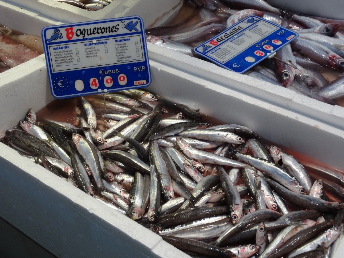 - Departament d'Agricultura, Ramaderia, Pesca i Alimentació - Departament d'Agricultura, Ramaderia, Pesca i Alimentació