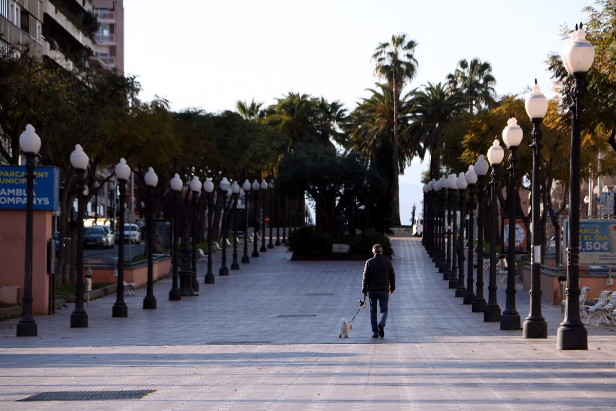 Una persona que passeja el gos a la rambla President Lluís Companys de Tarragona. - ACN Una persona que passeja el gos a la rambla President Lluís Companys de Tarragona. - ACN