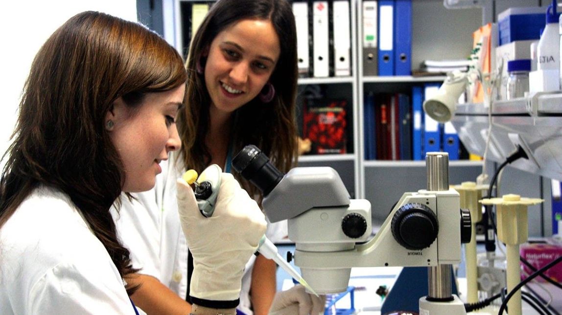 Dues dones científiques conversen en una laboratori
|
ACN - |
ACN Dues dones científiques conversen en una laboratori
|
ACN - |
ACN