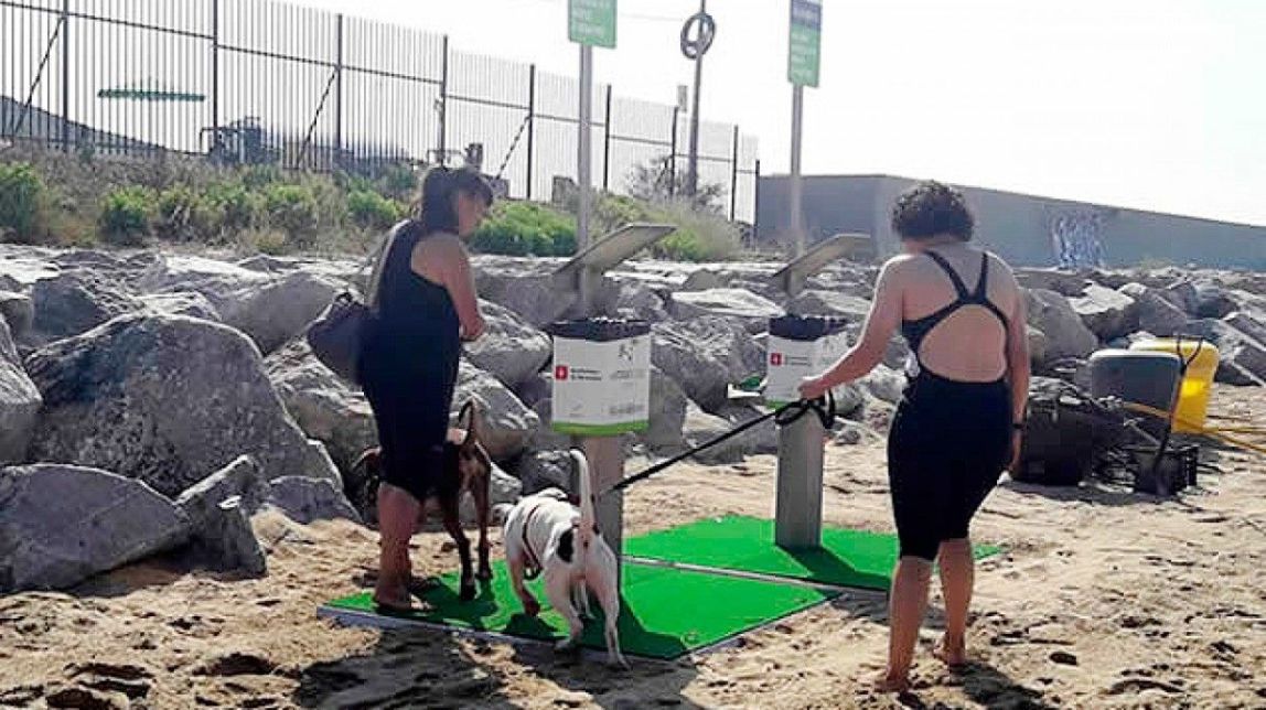 Els primers gossos en acudir a la platja
|
ACN - |
ACN Els primers gossos en acudir a la platja
|
ACN - |
ACN