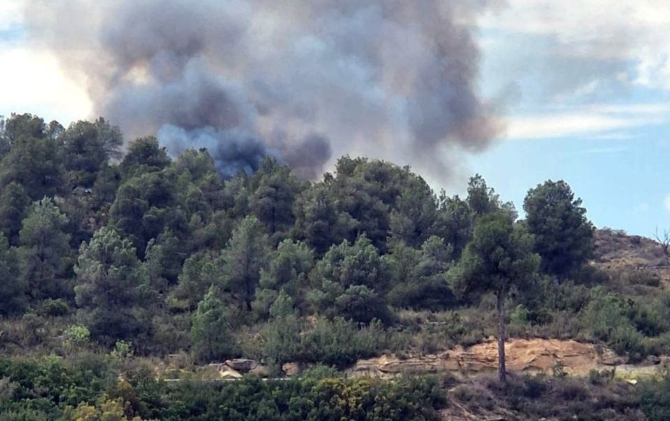 El cos d'Agents Rurals farà, durant les properes setmanes, cremes controlades a la zona del Quer
|
Arxiu - |
Arxiu El cos d'Agents Rurals farà, durant les properes setmanes, cremes controlades a la zona del Quer
|
Arxiu - |
Arxiu