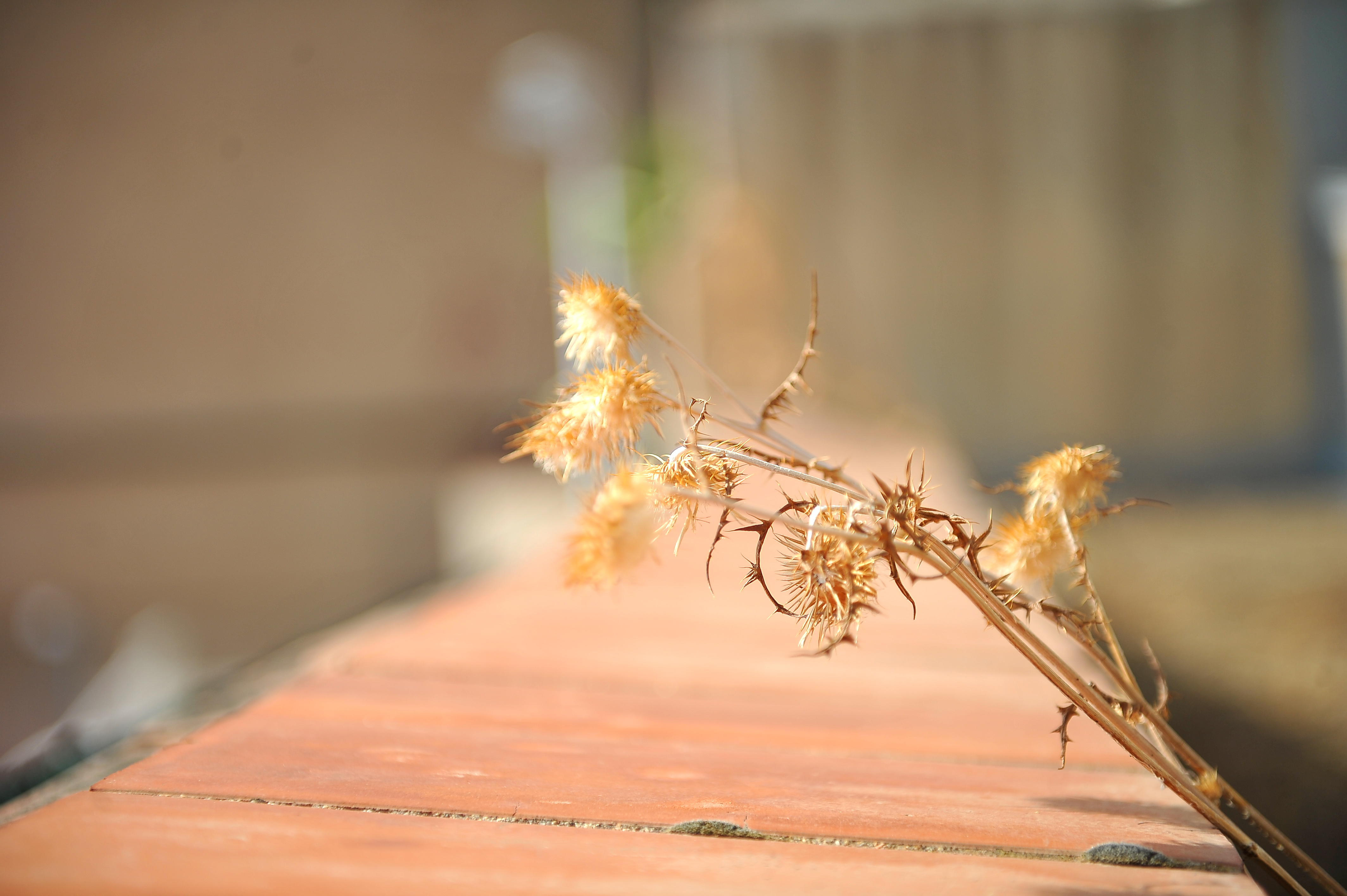 Núvols i pluges intenses - Núvols i pluges intenses -