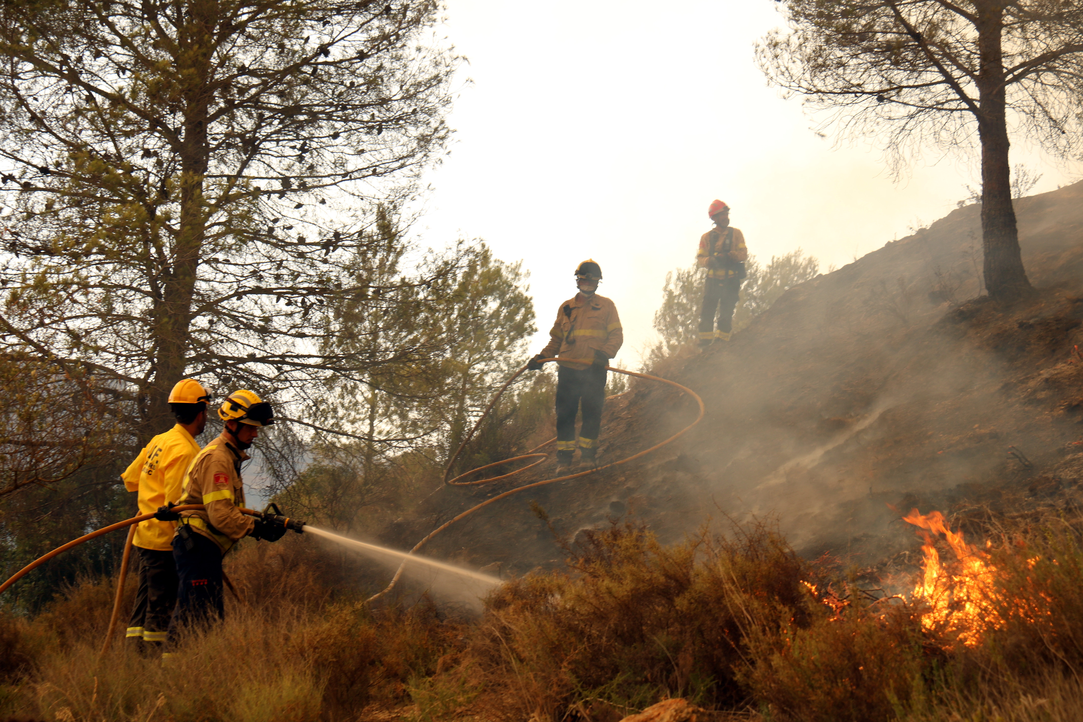Un foc provocat per l’activitat humana - Un foc provocat per l’activitat humana -