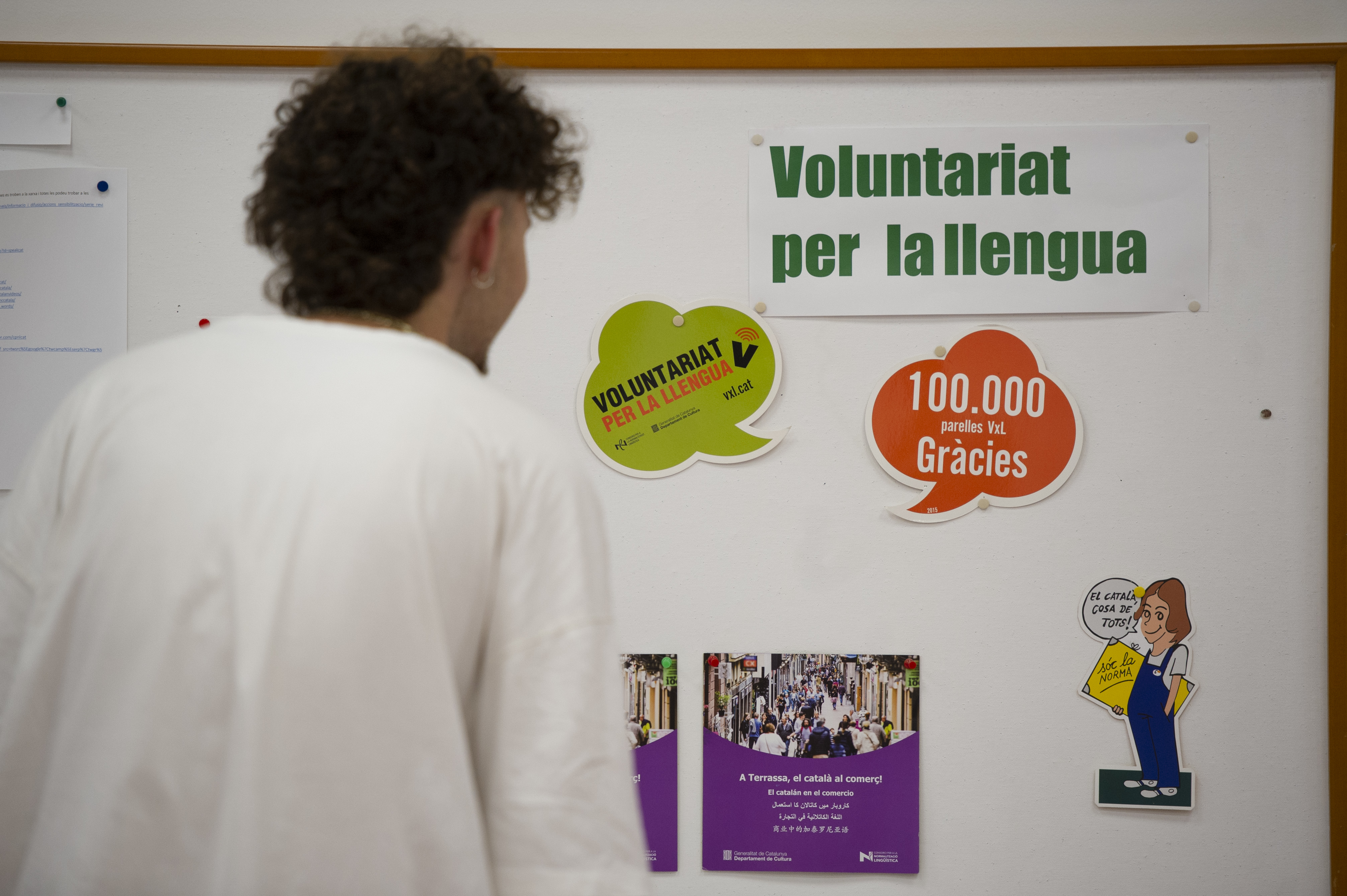 El nivell de català a Terrassa - El nivell de català a Terrassa -
