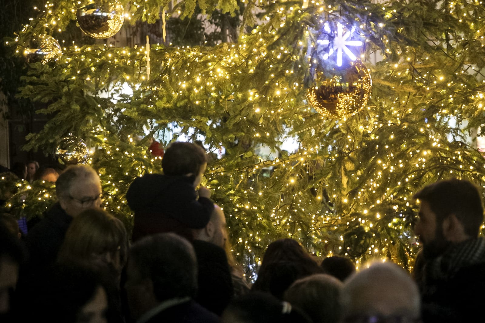 La competició pel Nadal - La competició pel Nadal -