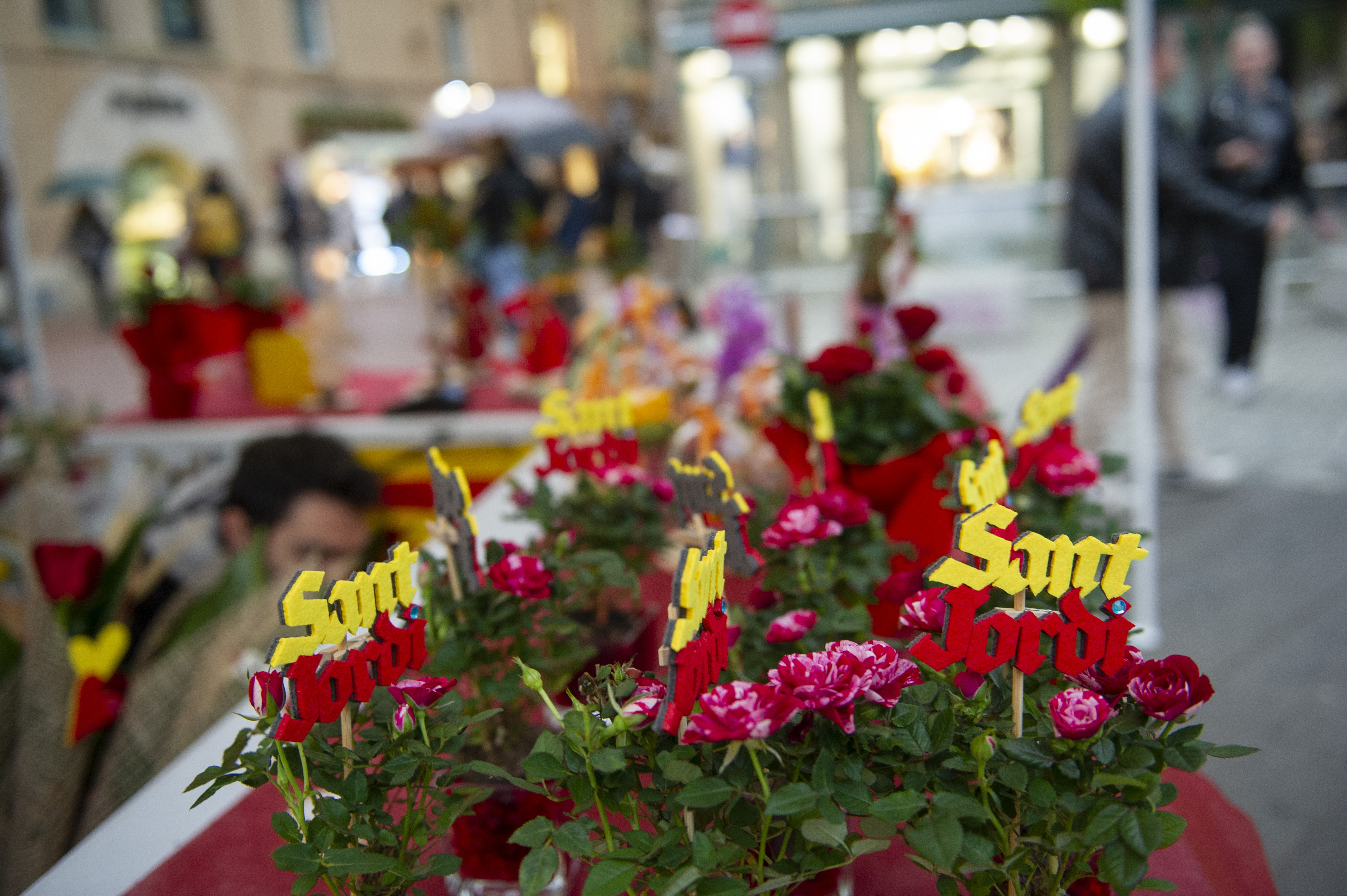Una diada de Sant Jordi molt especial - Una diada de Sant Jordi molt especial -