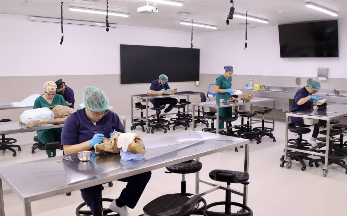 Un miler de persones donen el cos a la ciència a través del laboratori d'anatomia de la UVic-UCC