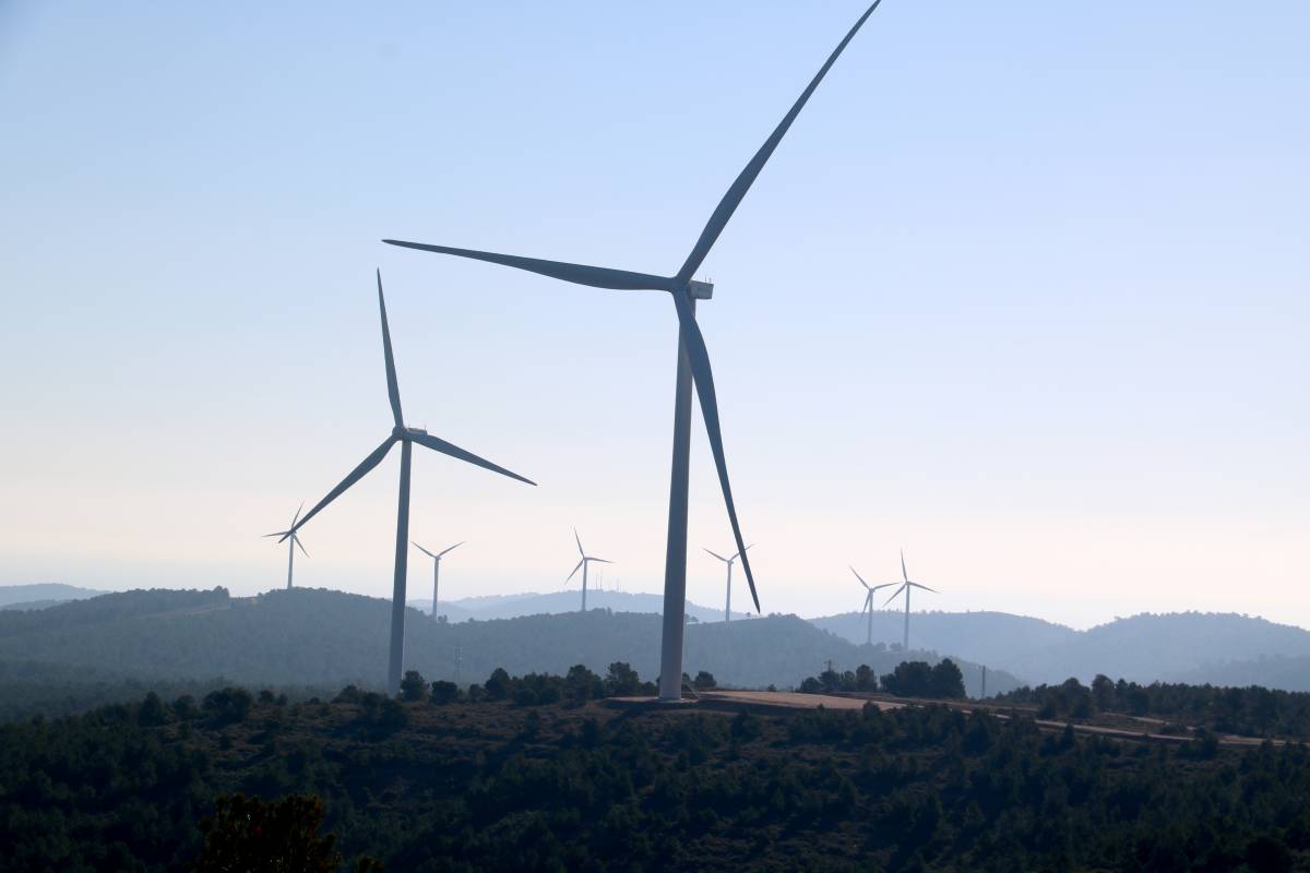 La comunitat de regants i la patronal fotovoltaica celebra l’aprovació del nou decret sobre renovables La comunitat de regants i la patronal fotovoltaica celebra l’aprovació del nou decret sobre renovables
