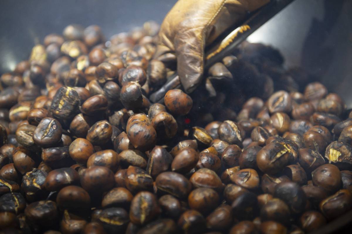Les castanyes són les protagonistes: l’aliment que regna quan la tardor batega Les castanyes són les protagonistes: l’aliment que regna quan la tardor batega