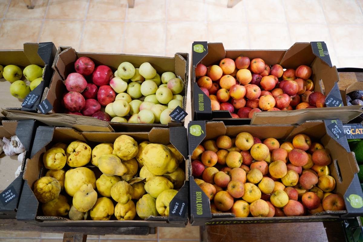 La botiga Éspecat - DAVID CHAO La botiga Éspecat - DAVID CHAO