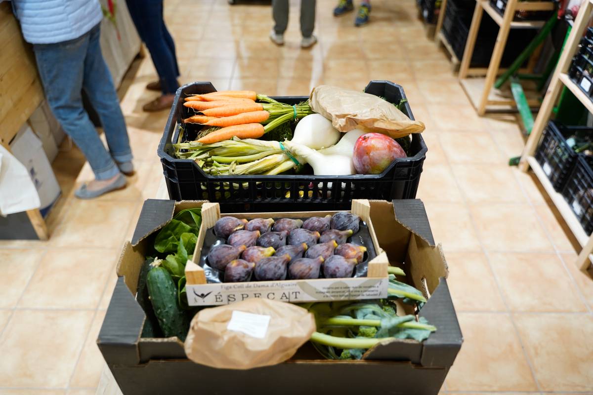 La botiga Éspecat - DAVID CHAO La botiga Éspecat - DAVID CHAO