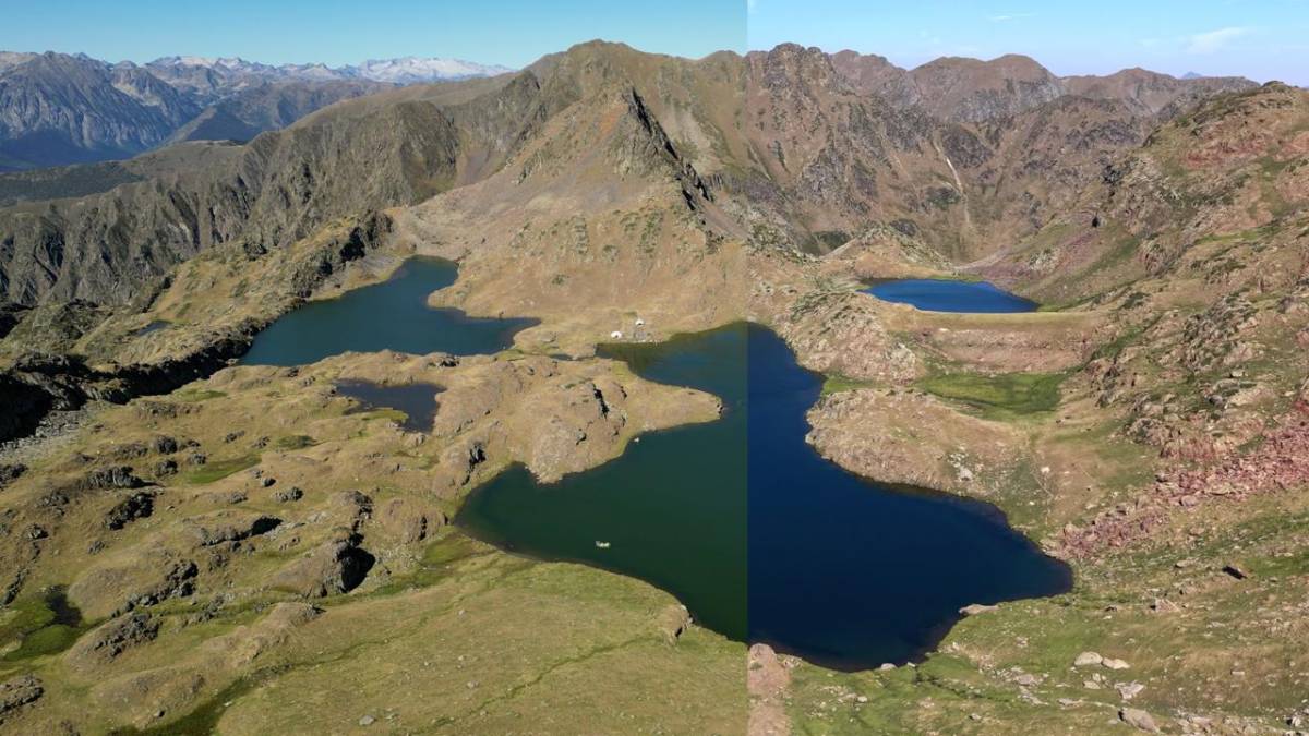 Èxit en l'erradicació de peixos invasors a estanys de l'Alt Pirineu