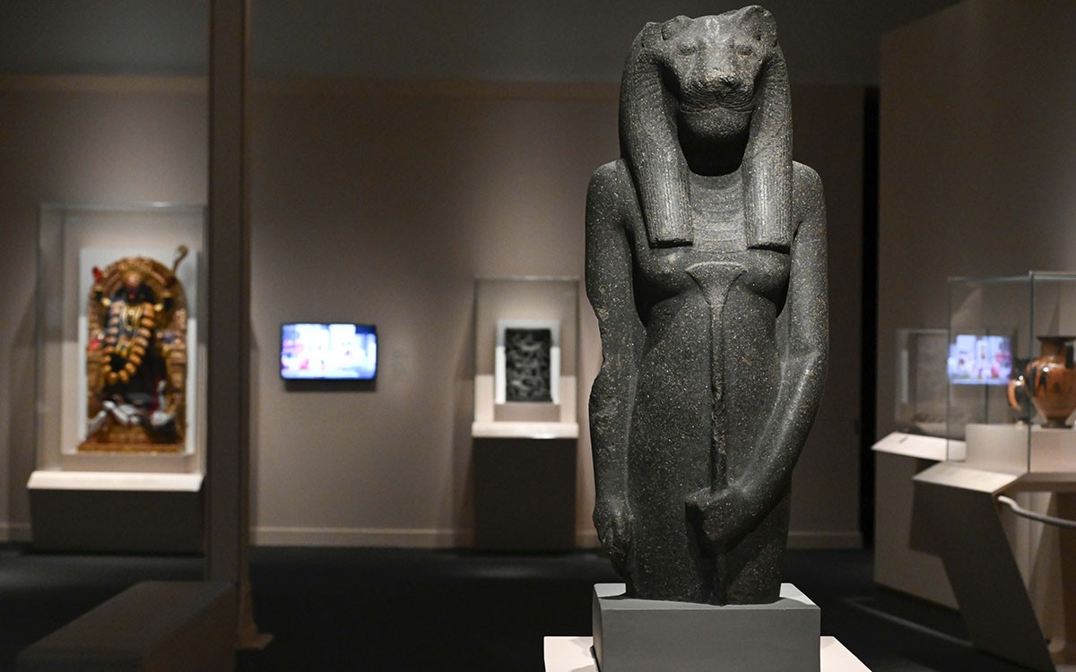 Exposició CaixaForum - Fundació la Caixa 