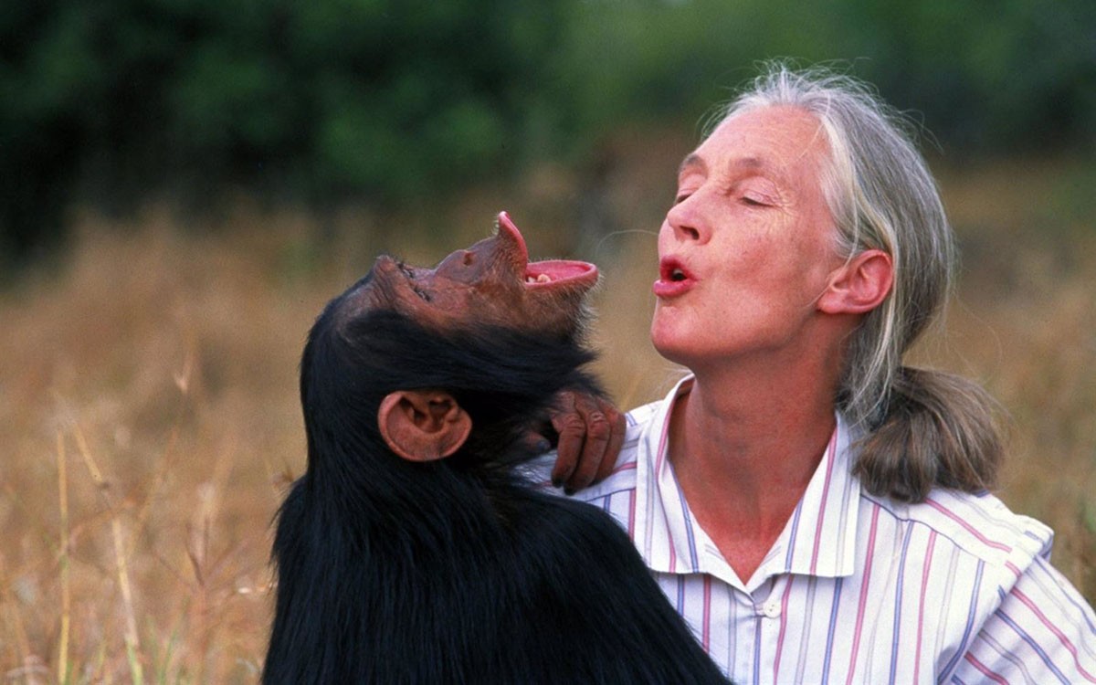 Jane Goodall, una vida dedica a l'estudi dels primats - Europa Press