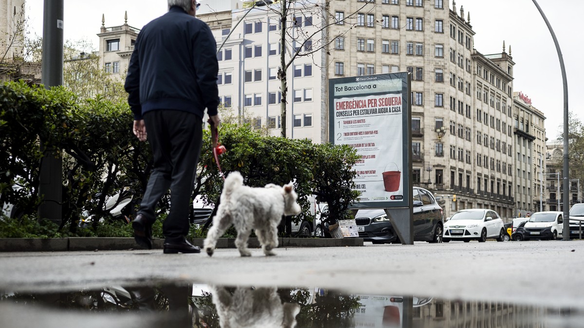 Un home passeja el seu gos pel centre de Barcelona, després de ploure - Hugo Fernández