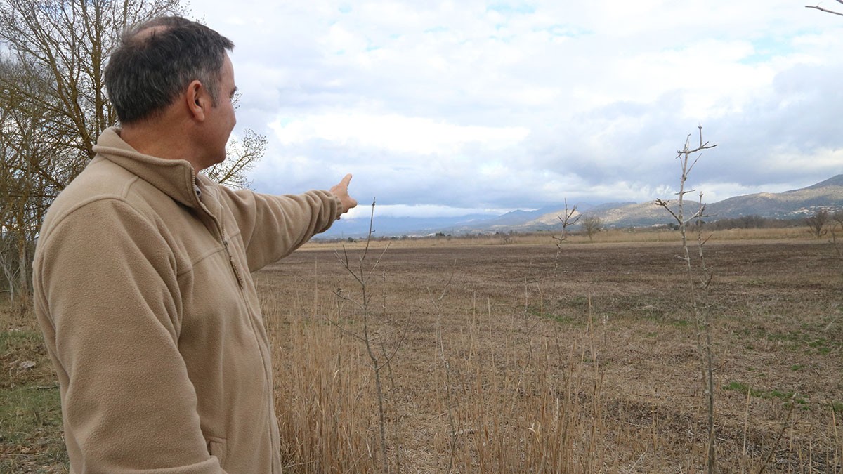 La pitjor sequera de la història als aiguamolls de l'Empordà