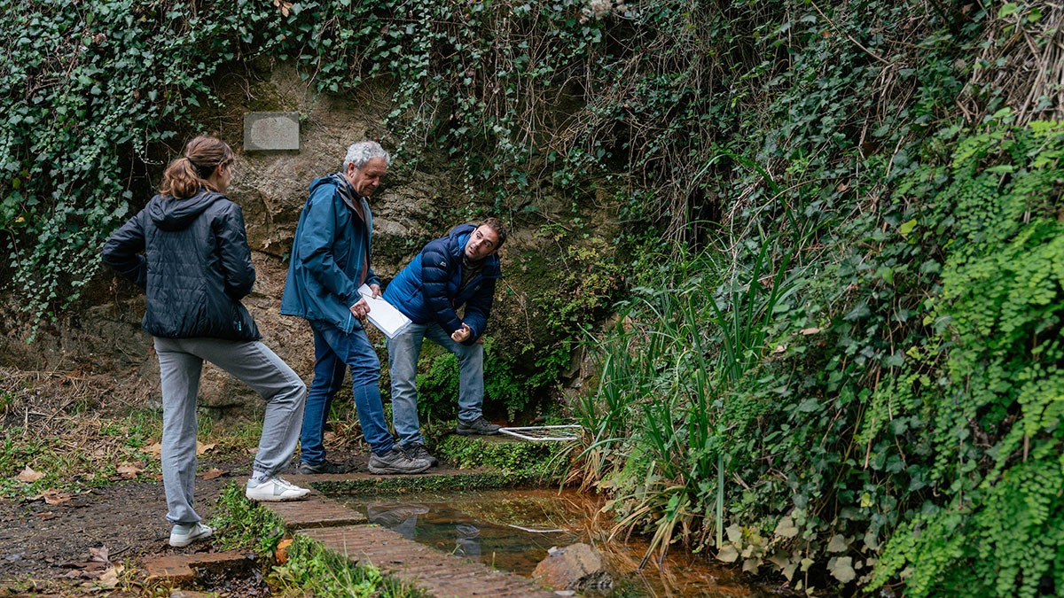 Els investigadors alerten que les fonts a Catalunya estan en una situació crítica - Galdrid Mossoll / CREAF