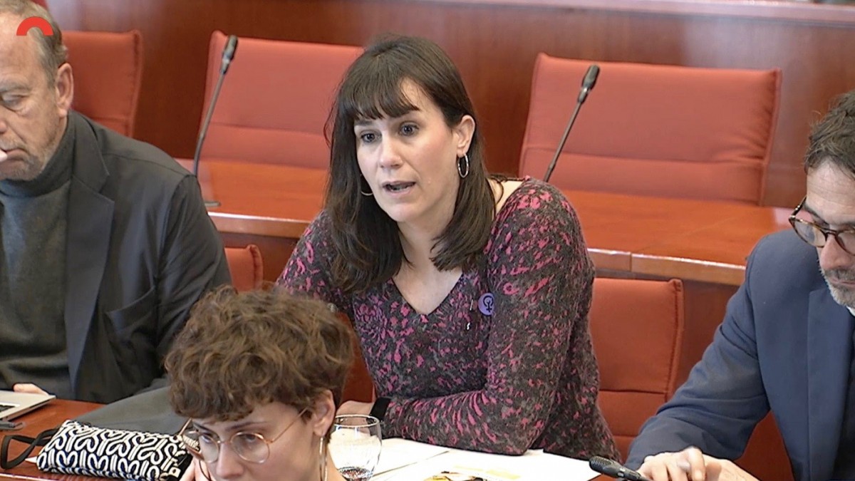 Madaula reapareix al Parlament amb una intervenció a favor dels drets de les dones