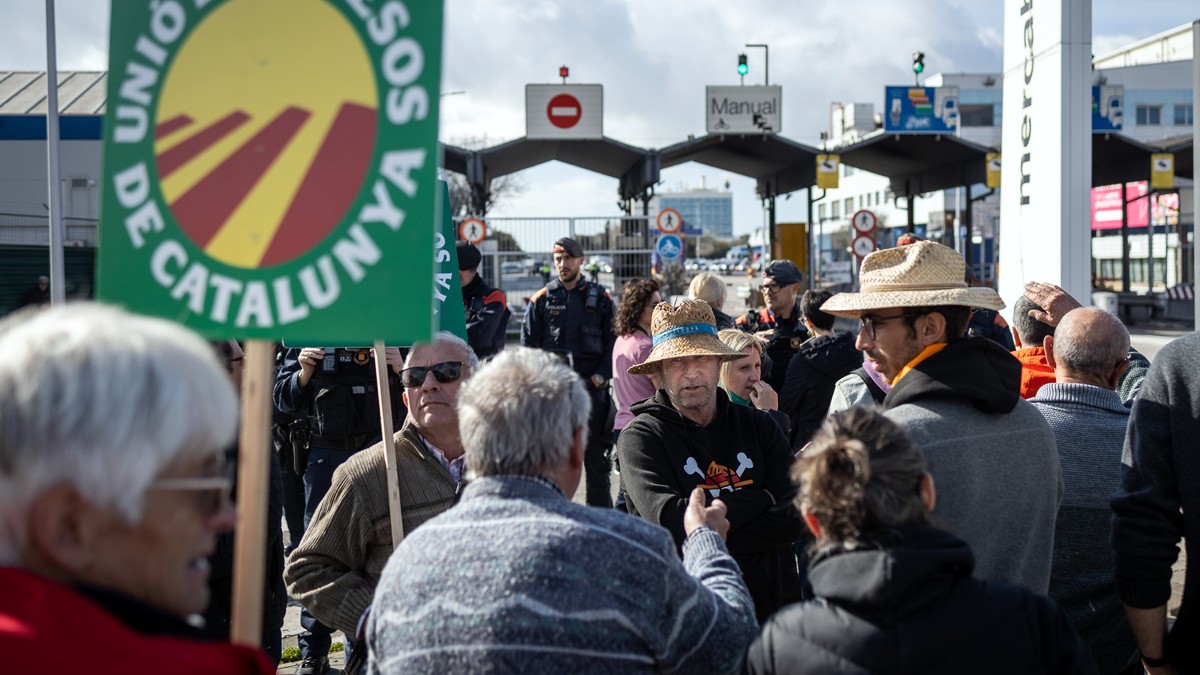 Només el 15% dels productes que es comercialitzen a Mercabarna provenen de Catalunya