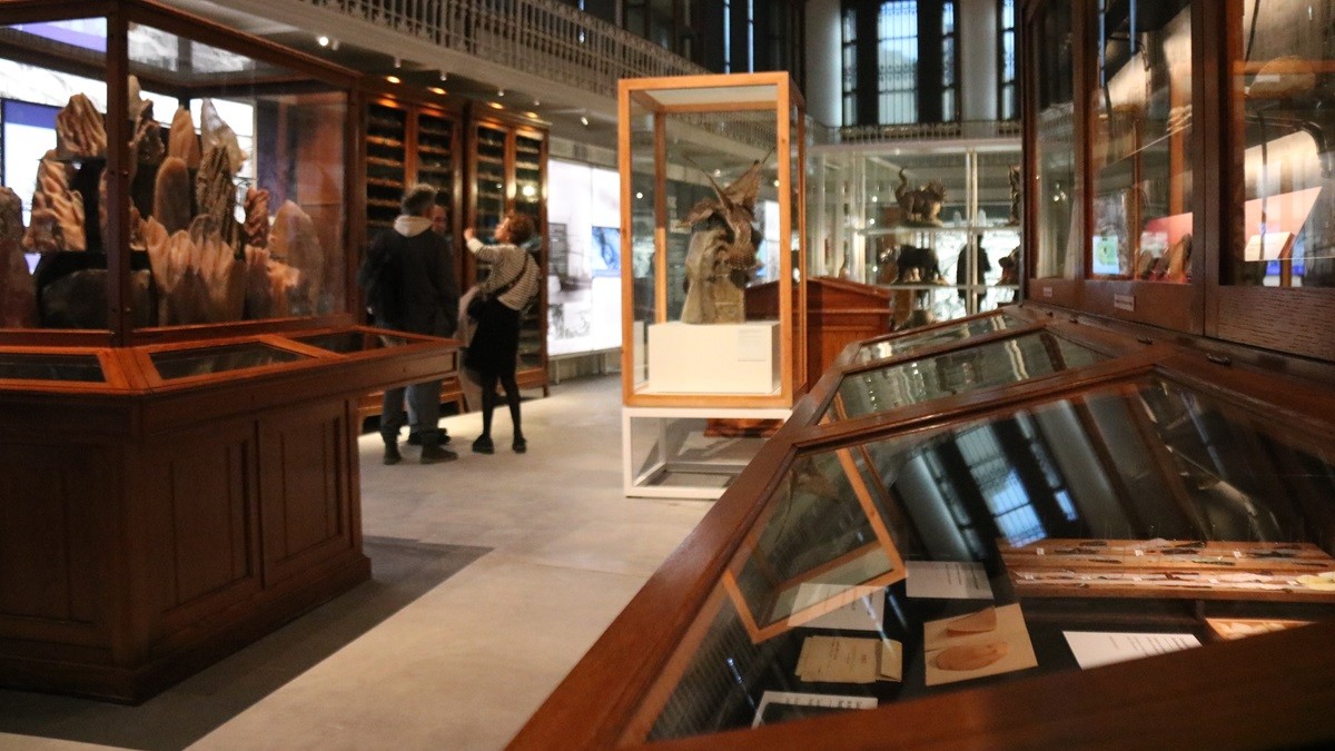 El museu barceloní públic més antic aspira a combatre «el negacionisme» de la crisi climàtica