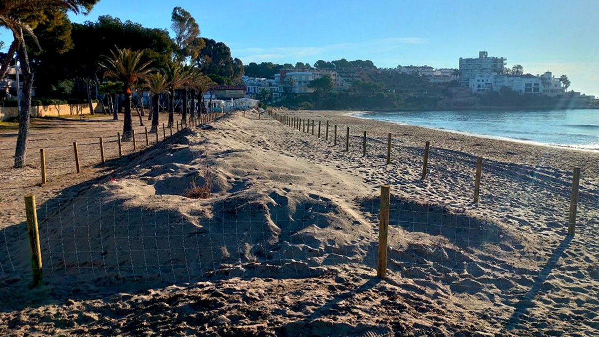 Una de les actuacions actuals a Altafulla, especialment afectada pels temporals, és protegir el parc de Voramar. - Josep M. Llauradó