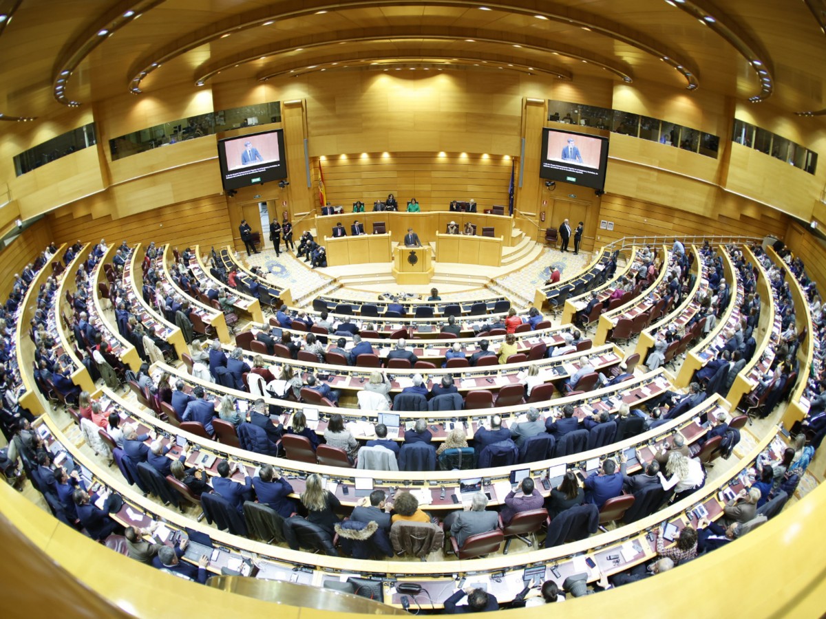 El Congrés aprova eliminar el terme «disminuït» de l'article 49 de la Constitució