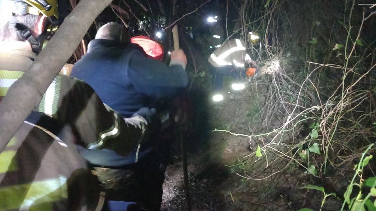Els Bombers accedint a la zona on es trobava el ferit - Twitter/@bomberscat