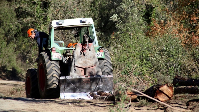 Els musclos del Delta, en perill: «Es mor tot»