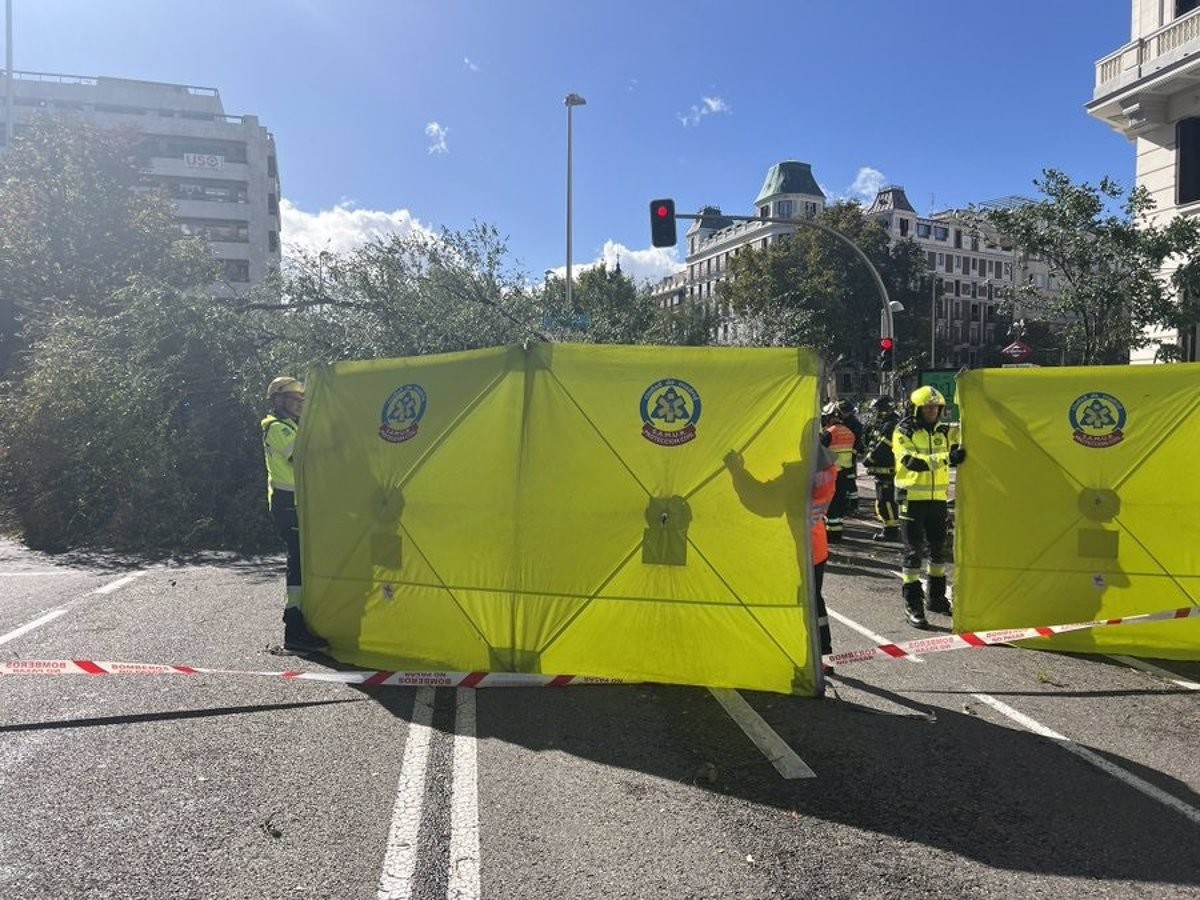 Mor una jove de 23 anys a Madrid per la caiguda d'un arbre a causa del fort temporal