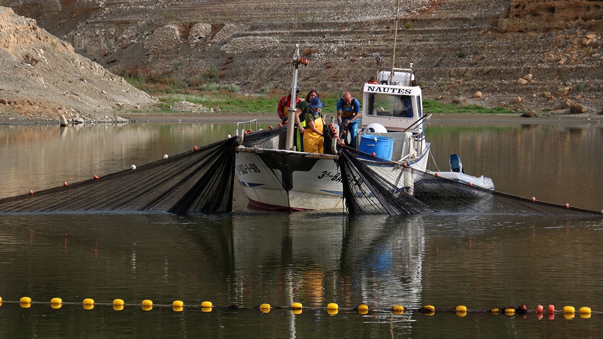 L'ACA retira ara els peixos del pantà de Riudecanyes