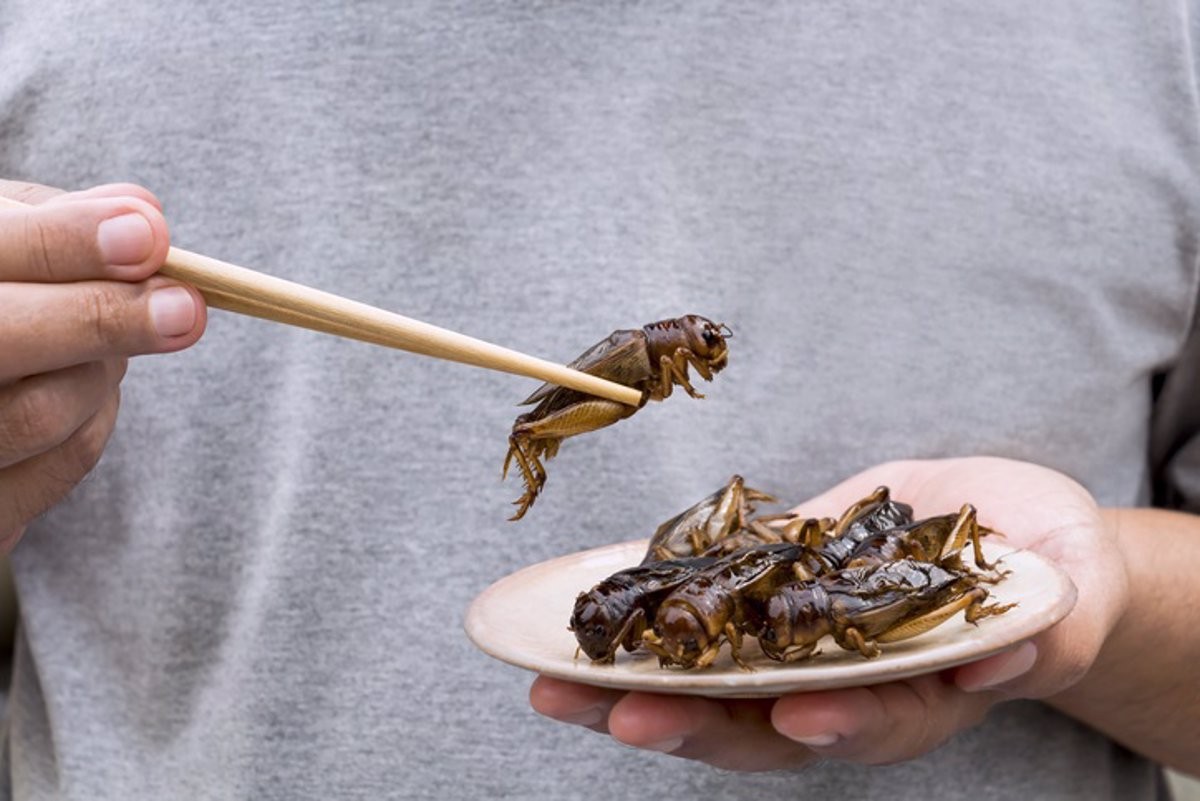 Un home menjant insectes - Arisa Thepbanchorncha / EP