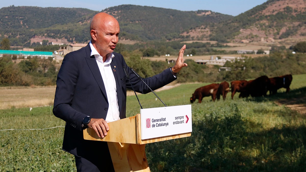 Catalunya tindrà un banc de terres agrícoles nacional