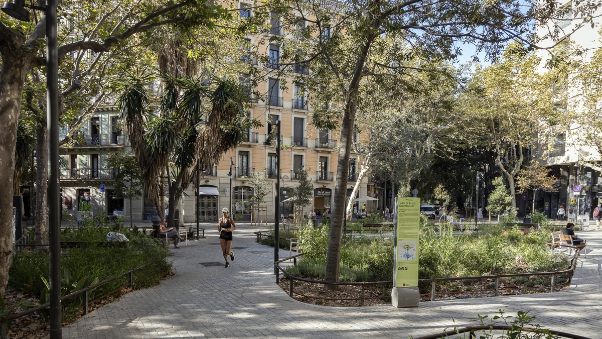 Foment i Barcelona Oberta no volen desfer l'eix verd de Consell de Cent tot i la resolució judicial