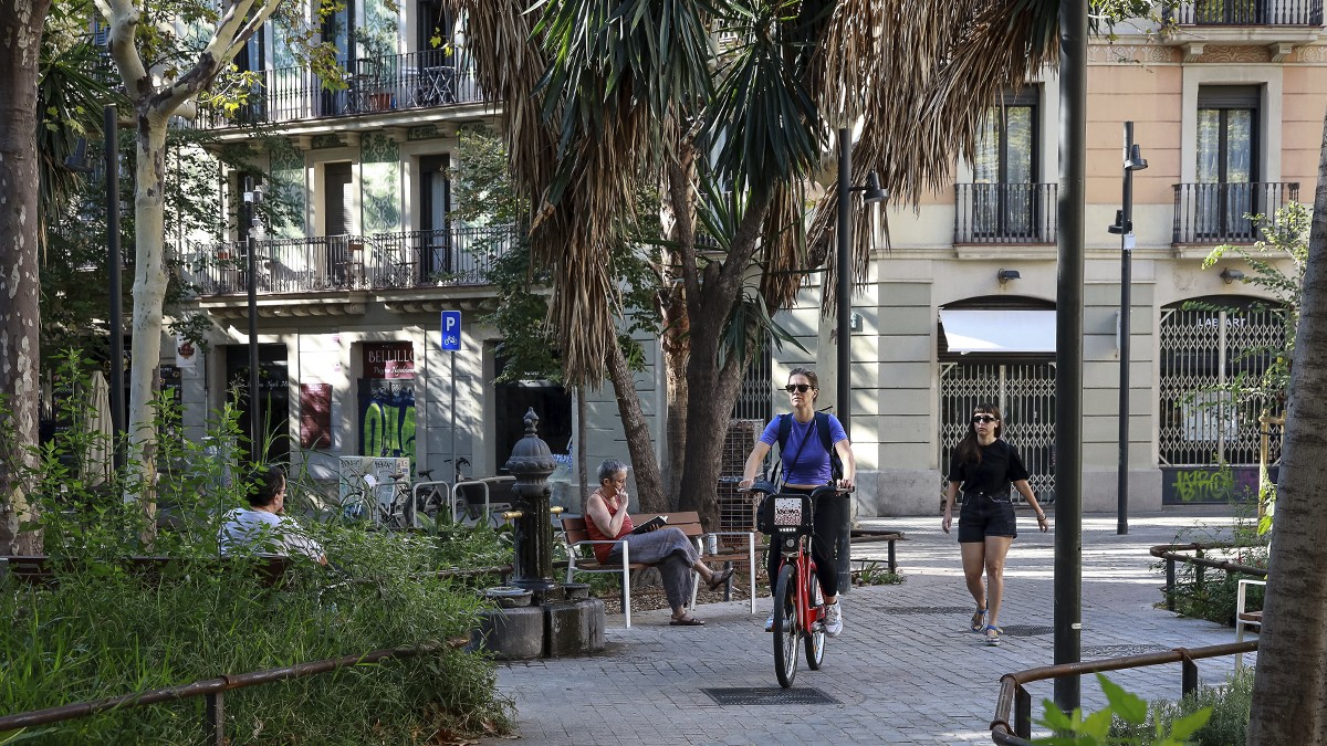 La Barcelona en entredit arran d'una sentència: més enllà de Consell de Cent