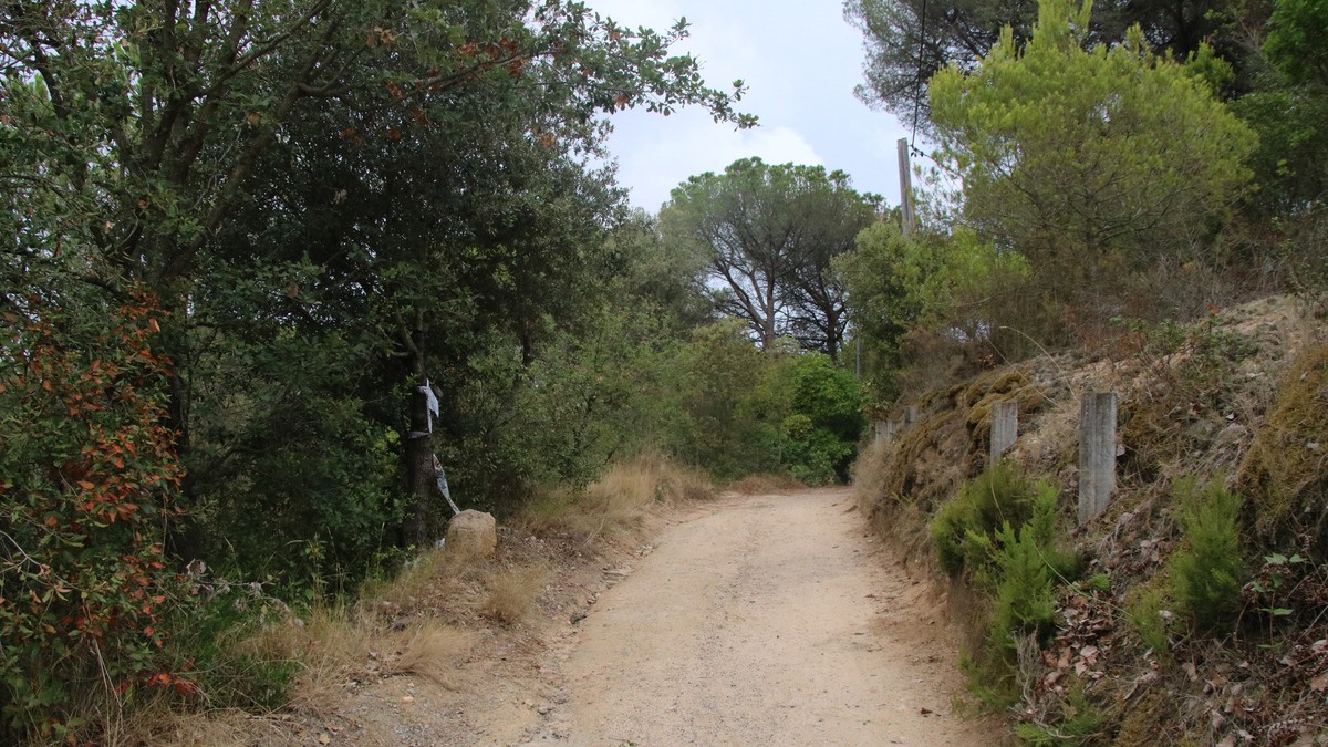 Troben un cadàver en avançat estat de descomposició en un bosc de Blanes