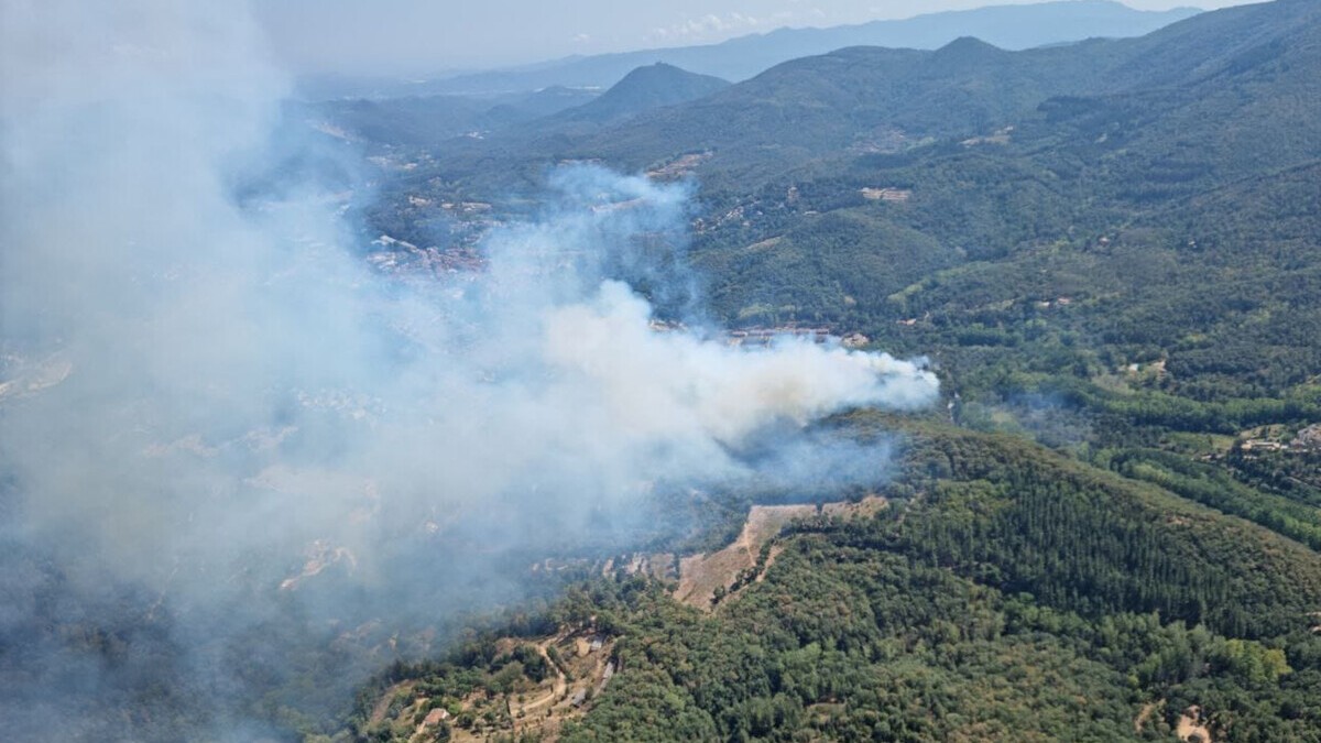 Confinen un càmping i desallotgen dues urbanitzacions per un incendi forestal a Arbúcies