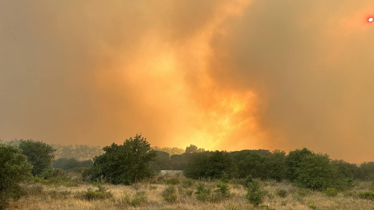 Incendi a la Catalunya Nord. - Association Prévention et Signalement