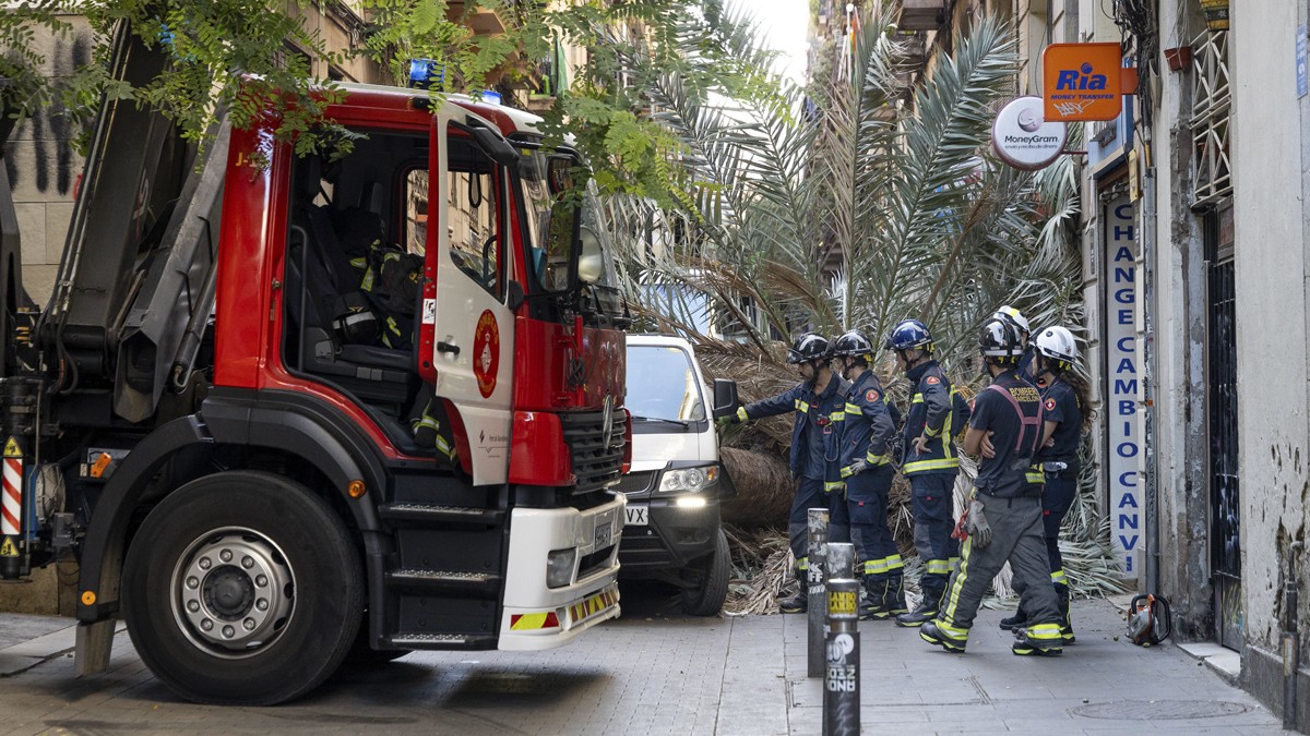 Shamira va morir el passat dijous a la plaça Emili Vendrell del Raval - Hugo Fernández 