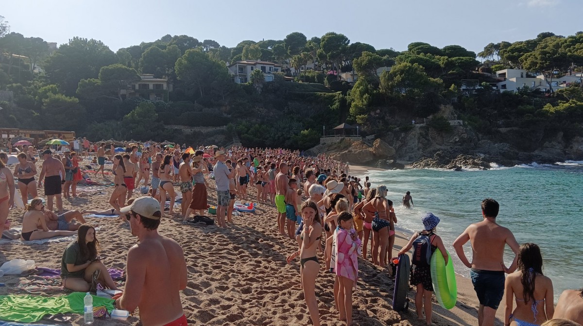 Reoberta una platja de Begur després de detectar dues tintoreres