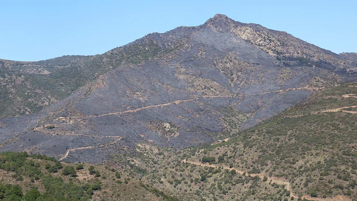 Incendi Portbou - ACN